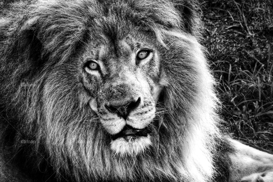 World in black and white 