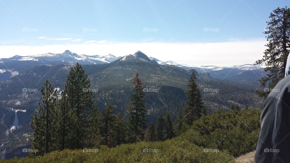 Mountain, Snow, Wood, Landscape, Tree