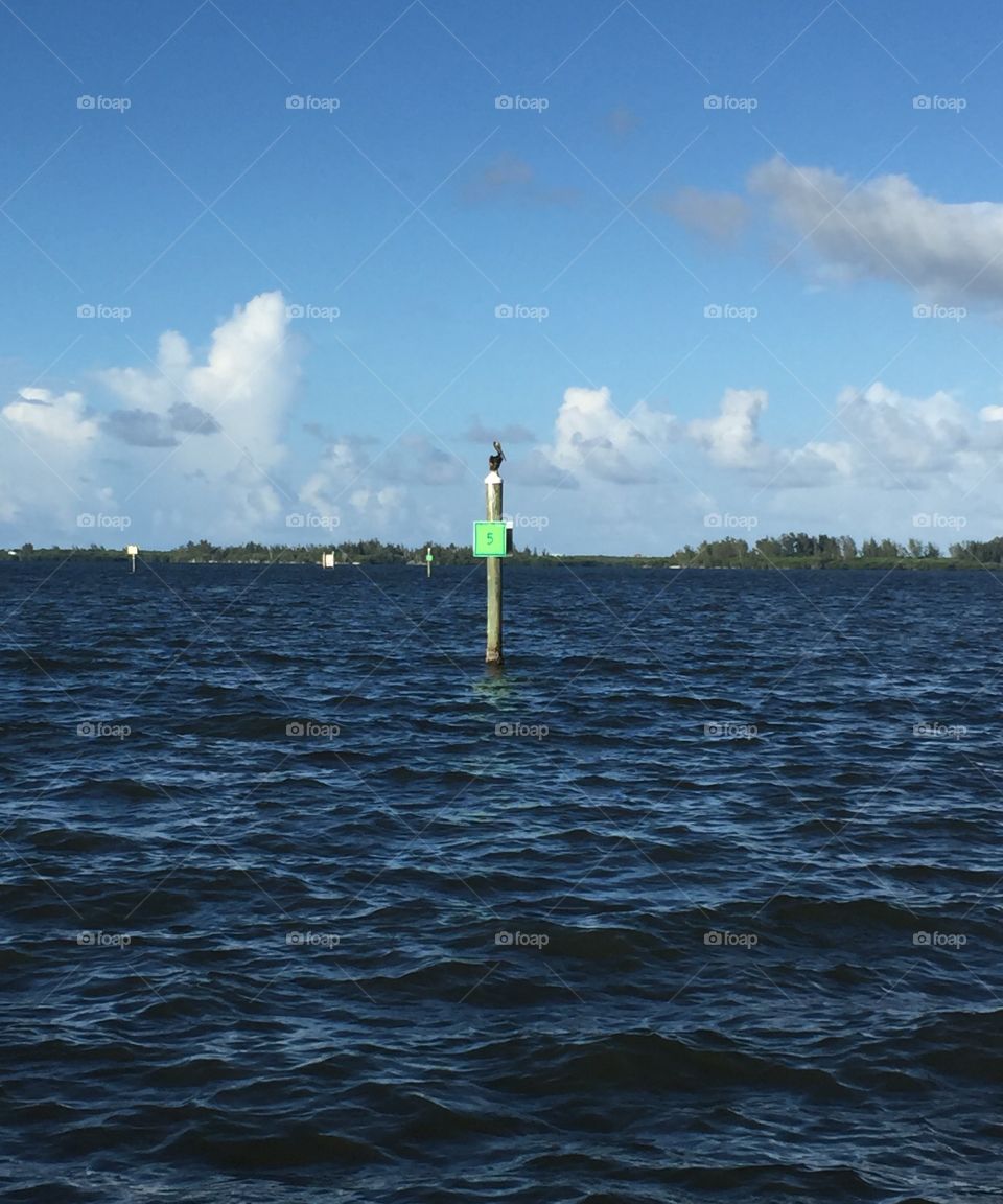 Sebastian inlet river view 