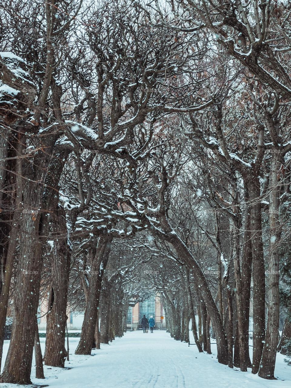 In the park