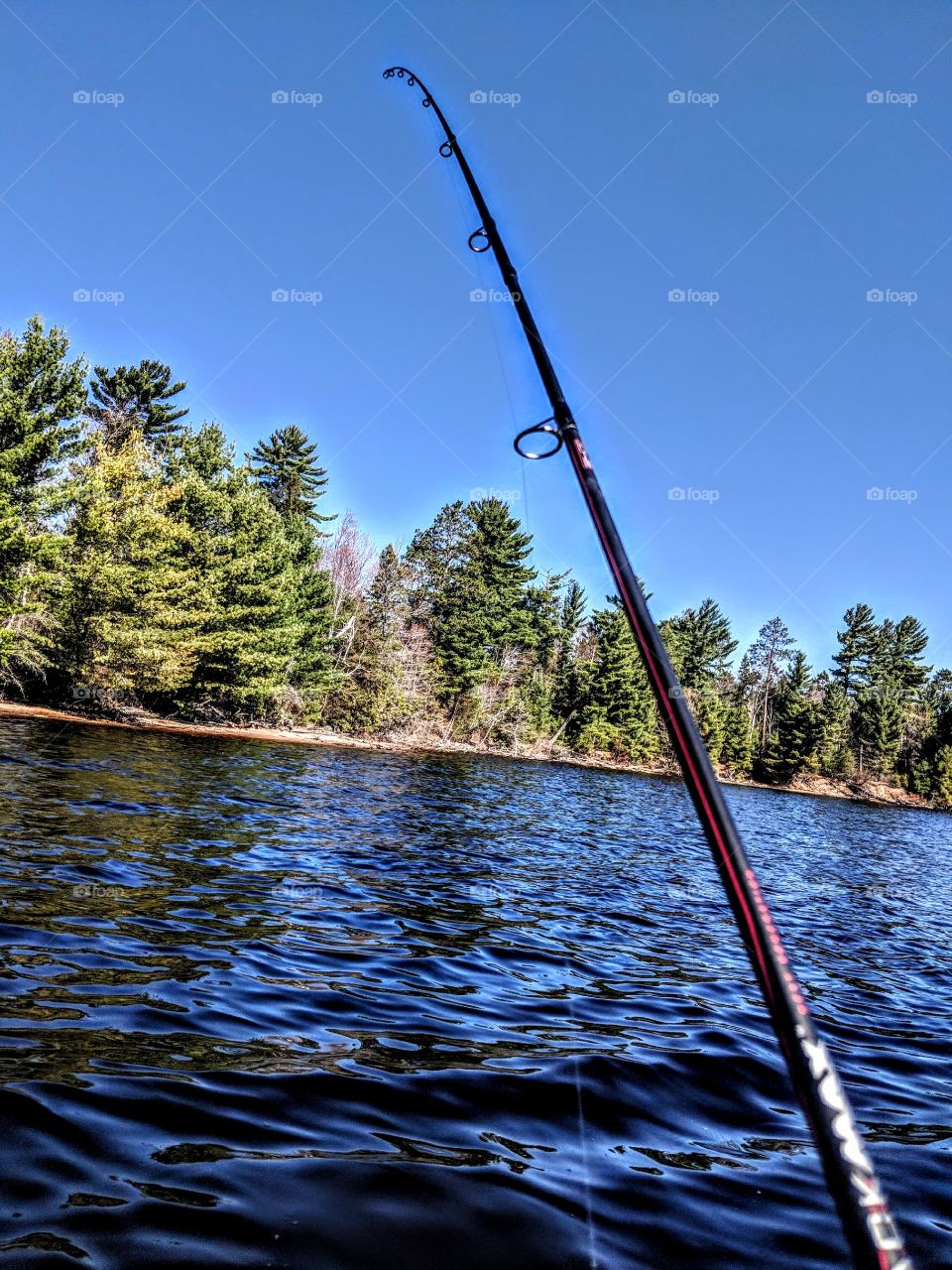 fishing in the northwoods