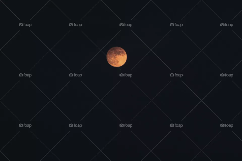 moon at night