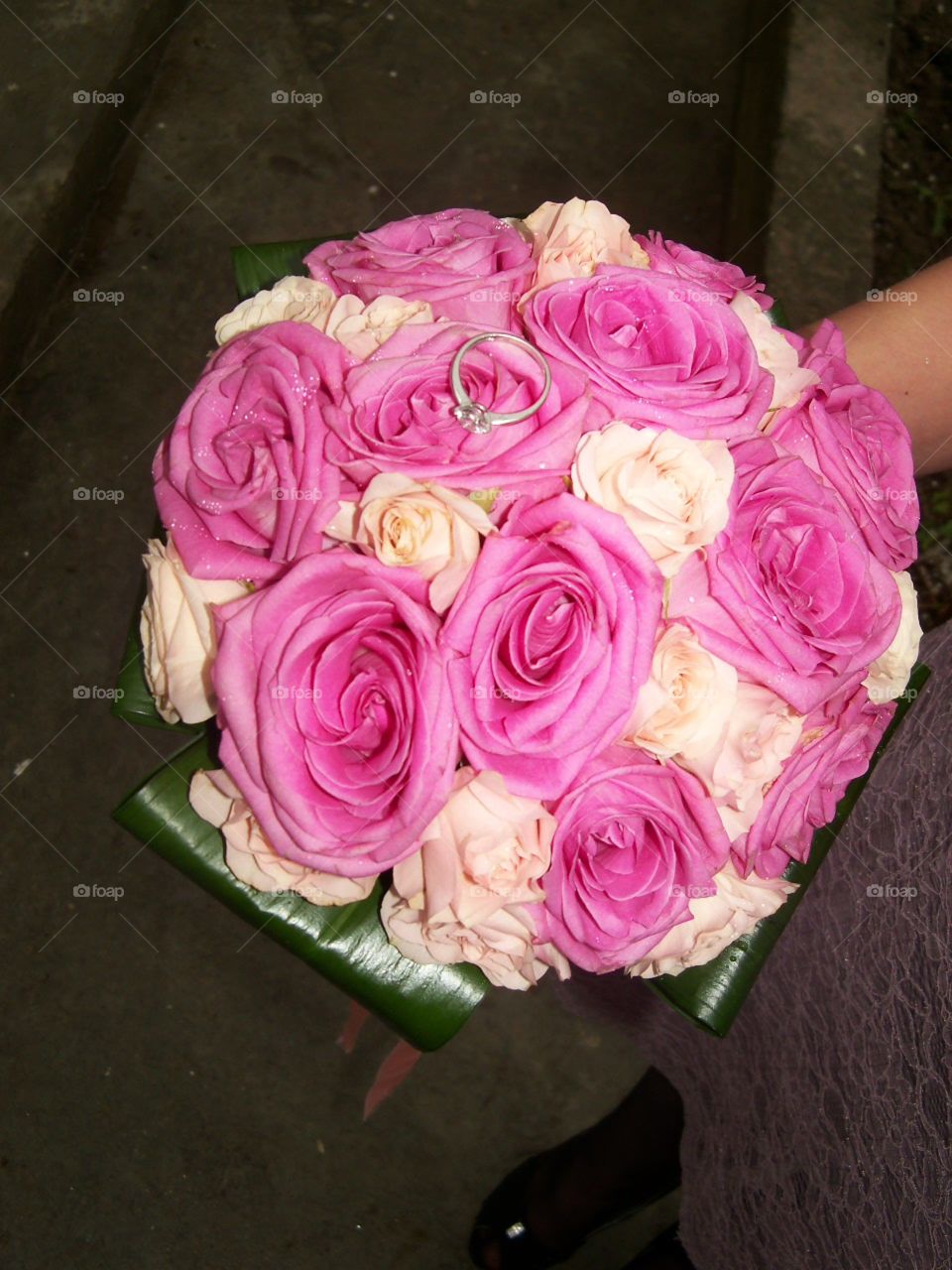 pink roses