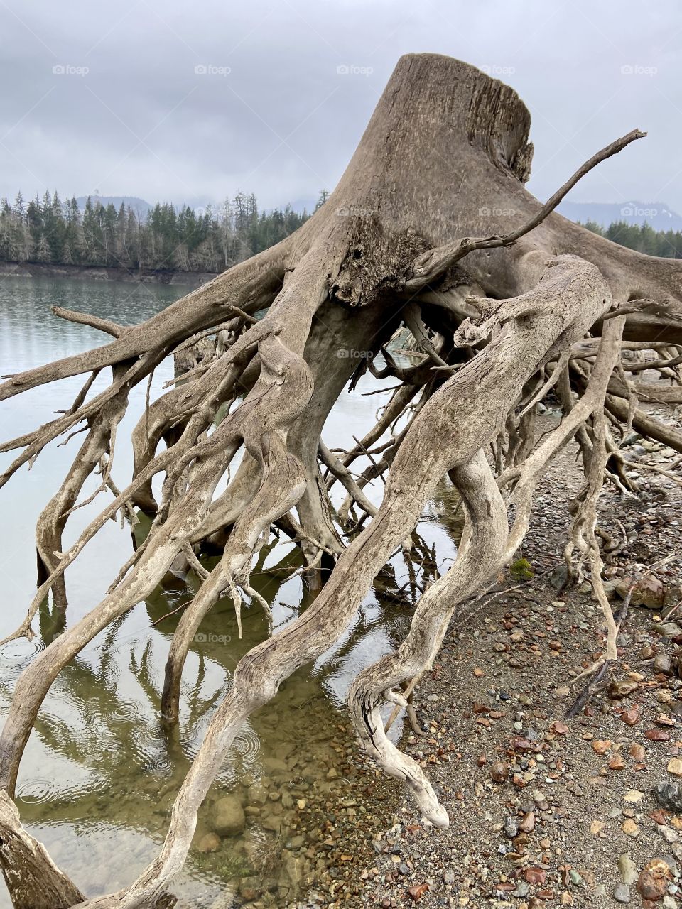 Beautiful Washington scenery