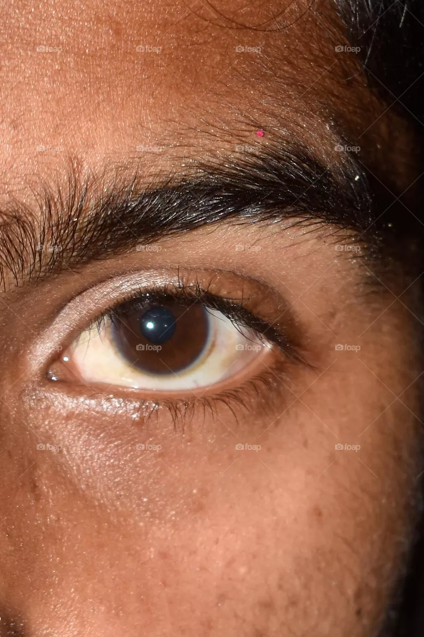 Human eye