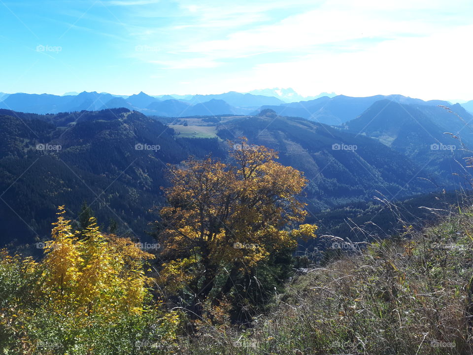 Am Faistenauer Schafberg