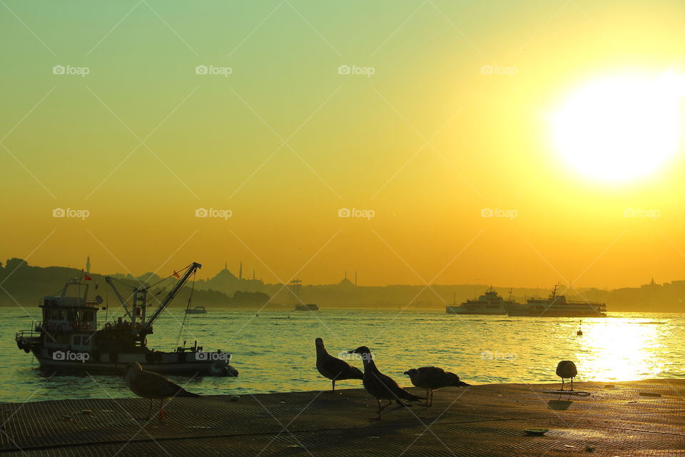 uskadar. seagulls and boats in istanbul at golden hour