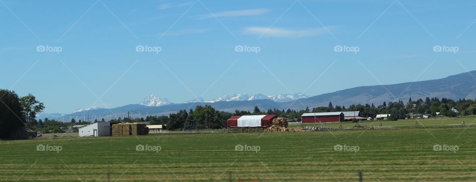 farmland foothills