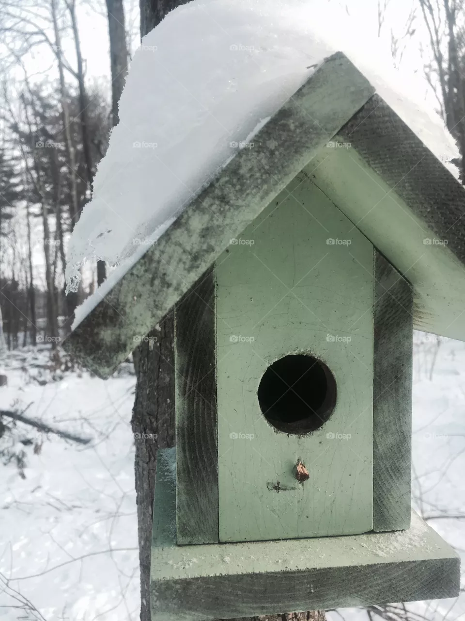 Snow 