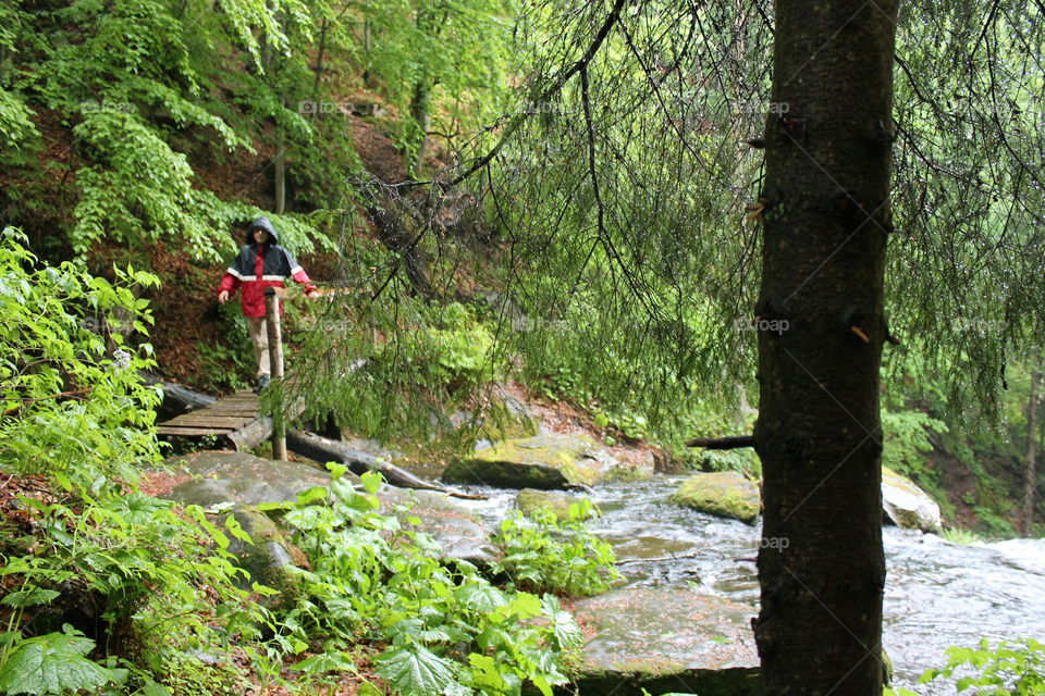 Trip in the wood