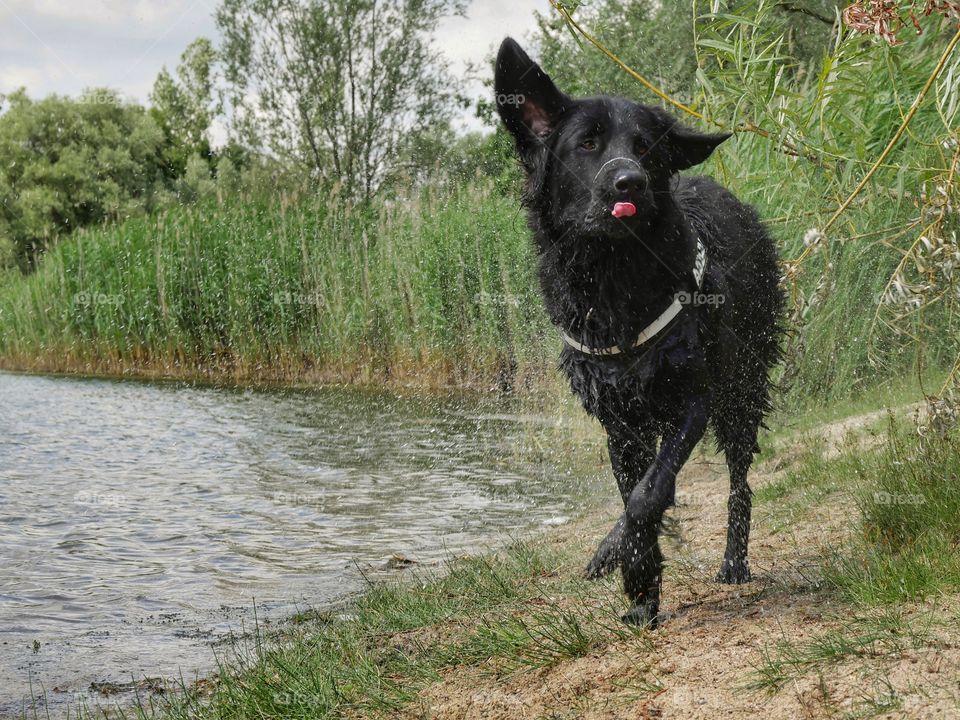 Nice time at the lake