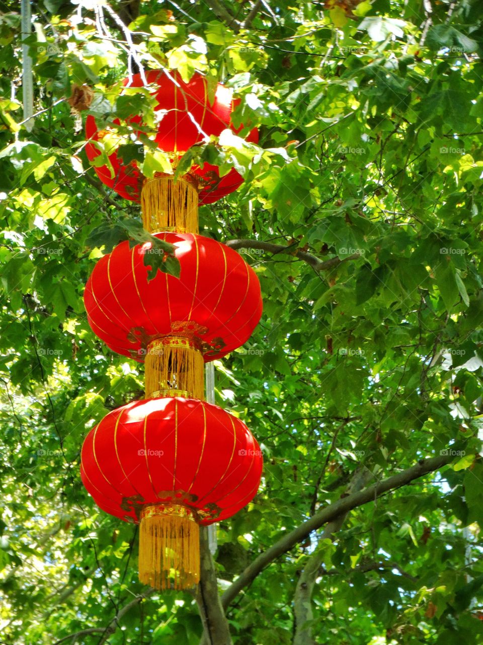 Chinese Lanterns