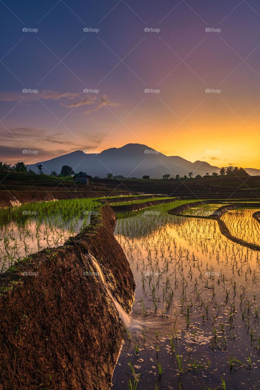 sunrise in the morning