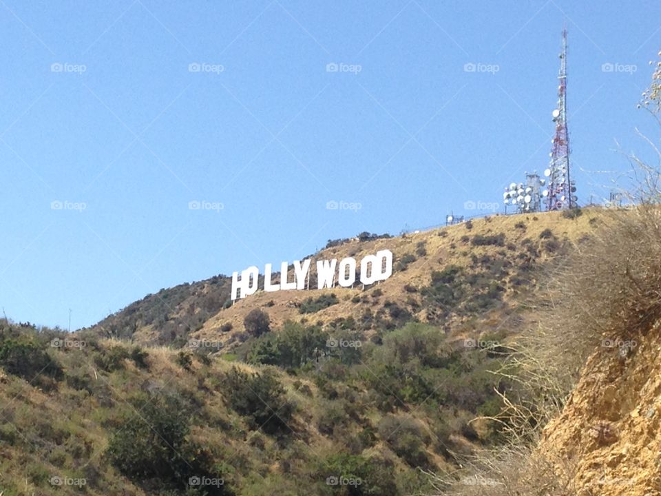 Hollywood. Hollywood 