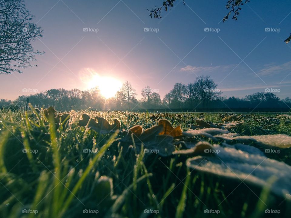 Countryside sunrise showing the colorful sky over the frozen grass