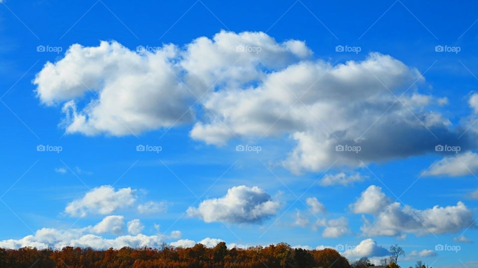Blue Sky, Clouds, and Fall Color
