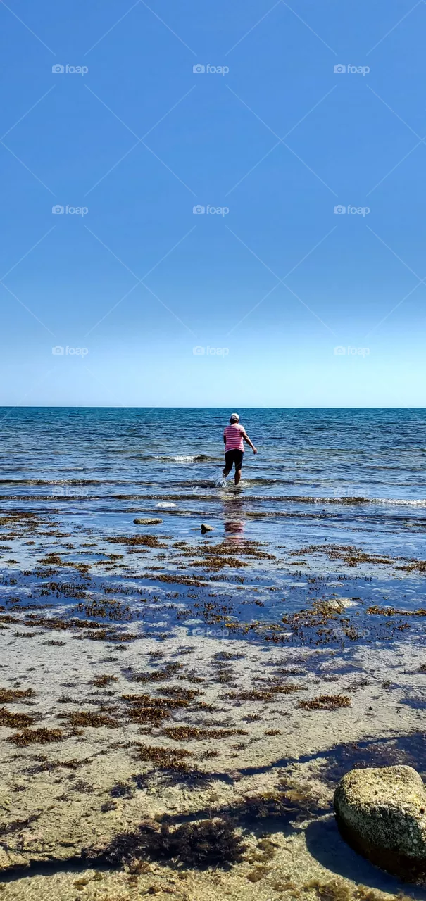 ocean walk