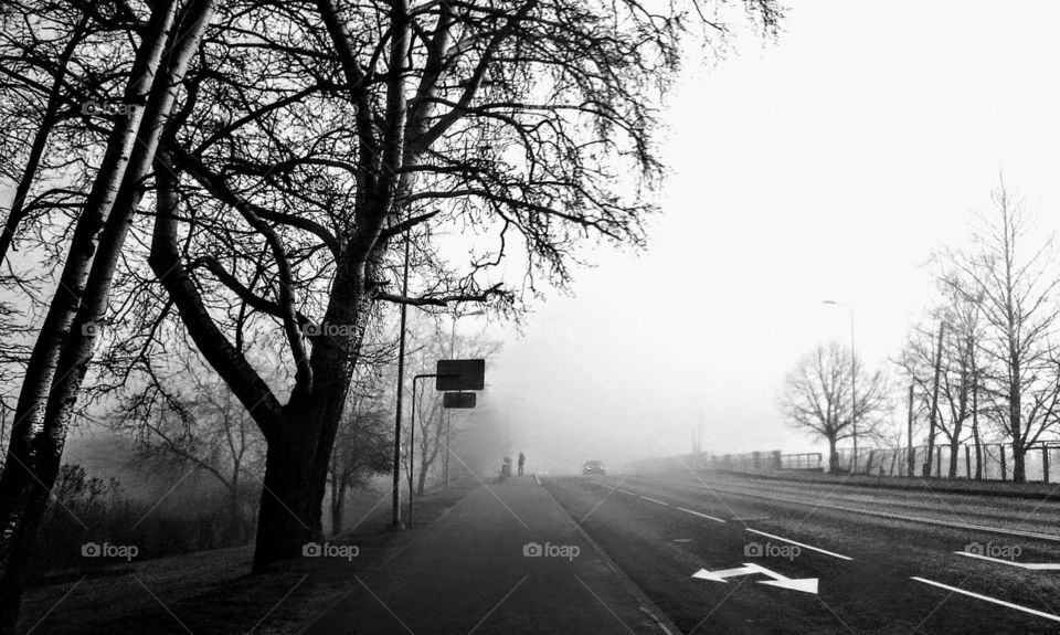 black & white fog