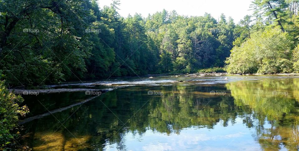 A calm stretch of the wild and scenic Chattooga river from the South Carolina side