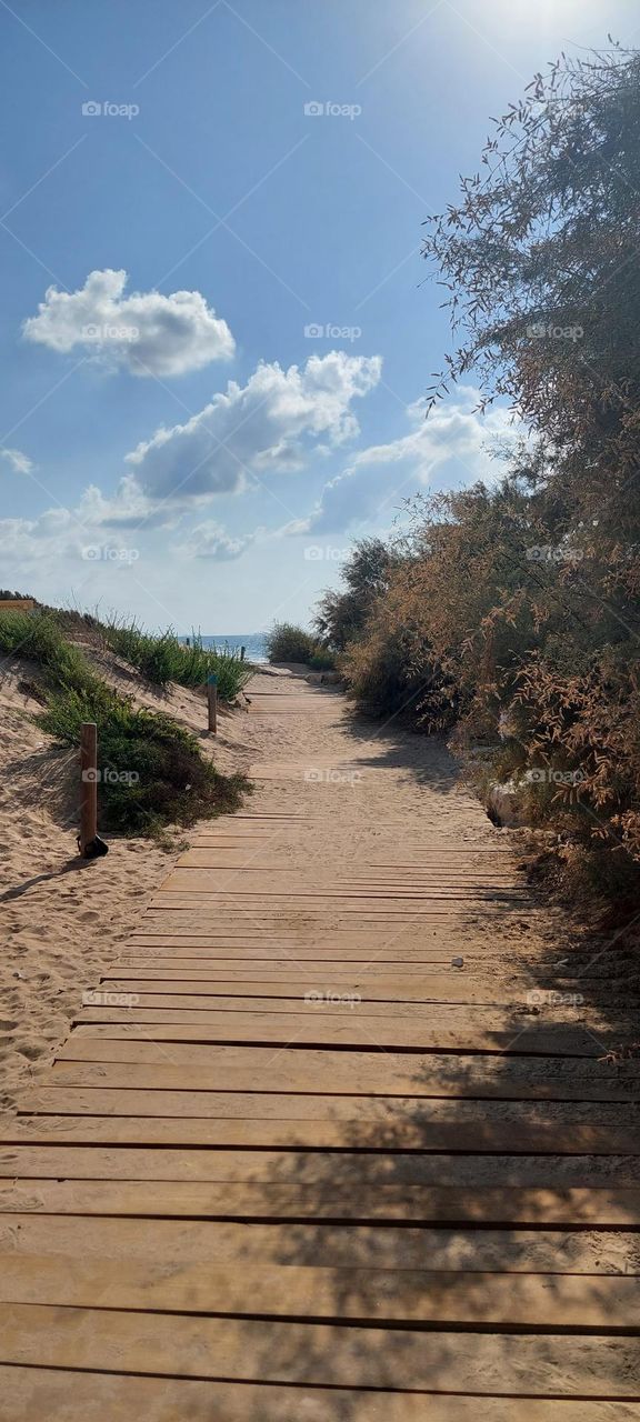 walk along the shore