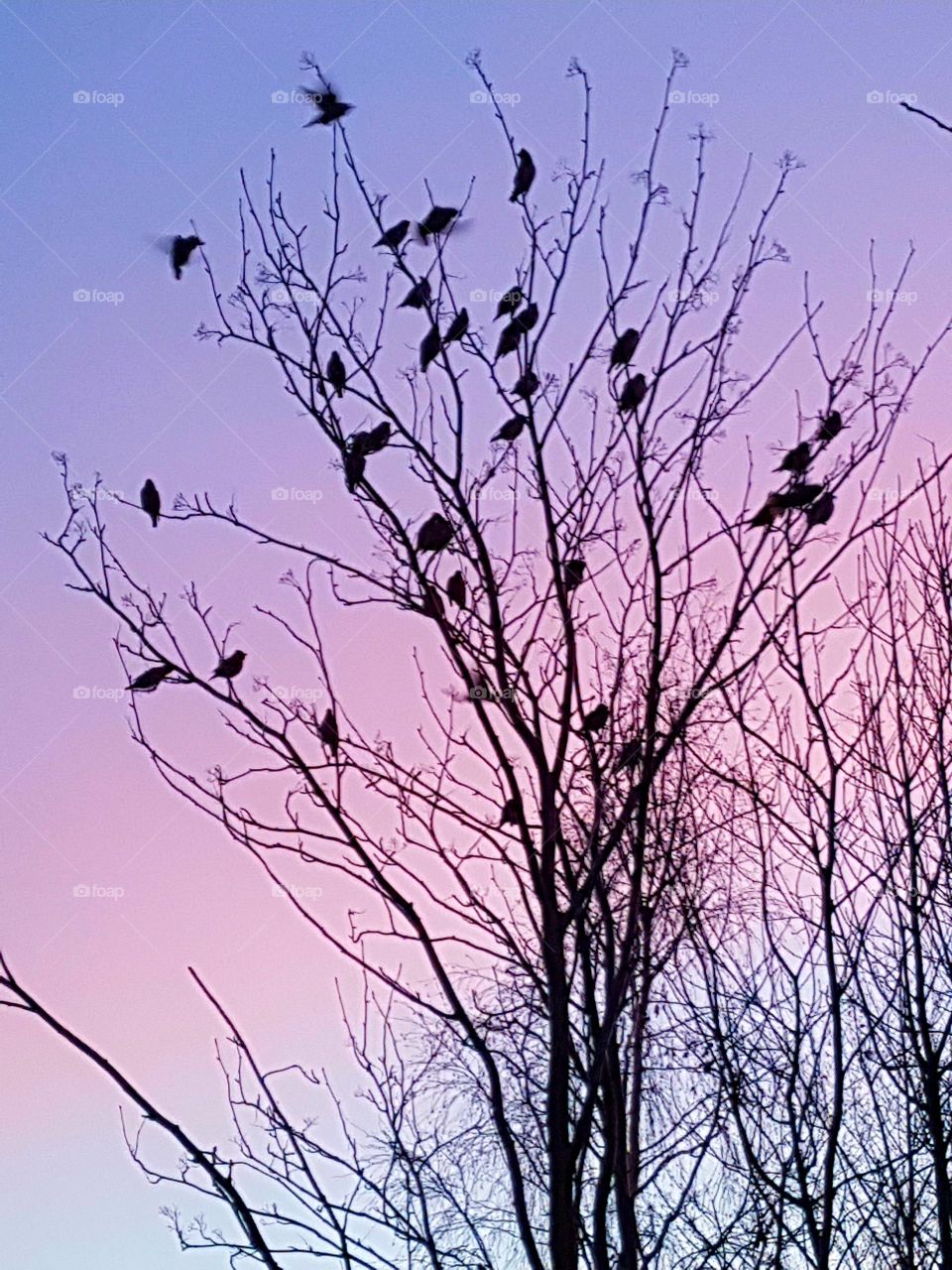 silhouette of the side wall