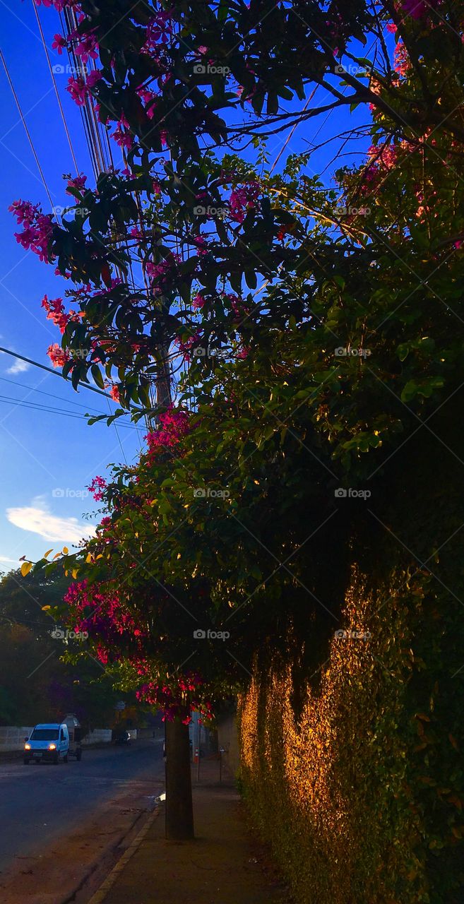 Alvorada bem bonita em Jundiaí, a Terra da Uva. O céu azul não nos deixa mentir. 