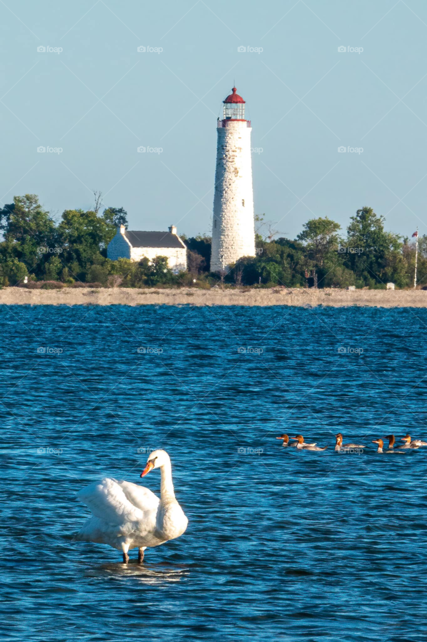 Shores of Lake Huron