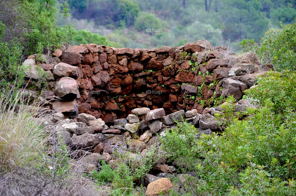 Olive Mill
