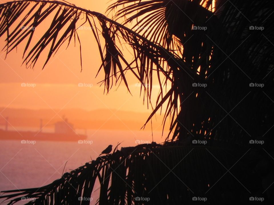 Sunset - Salvador - Bahia - Brazil