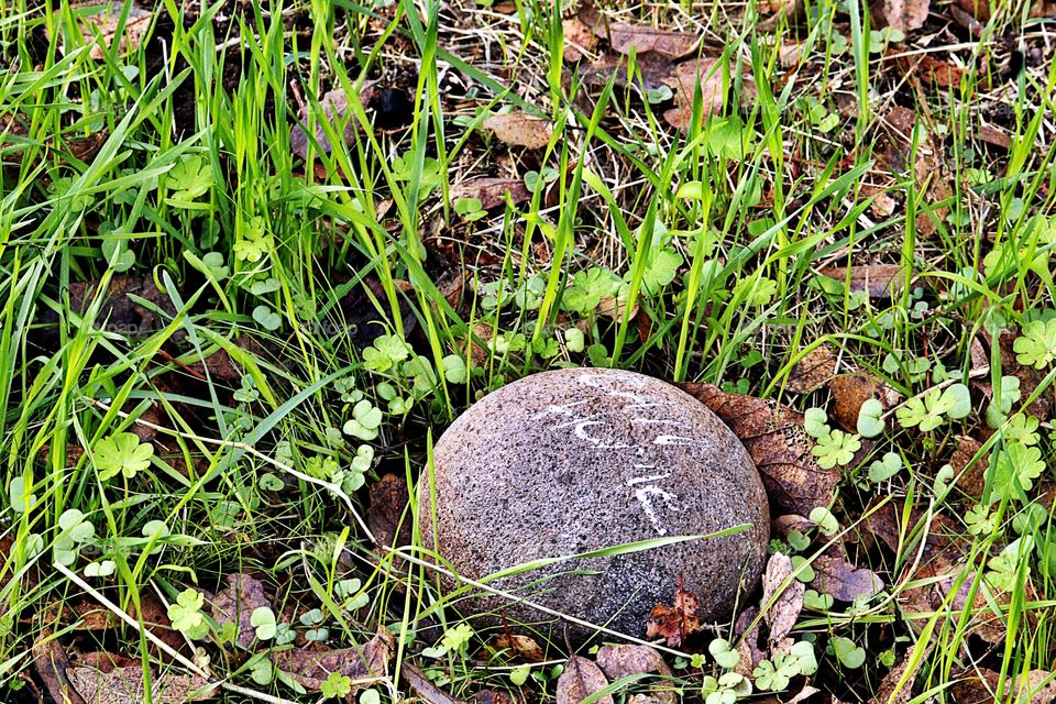 nature Rock call home