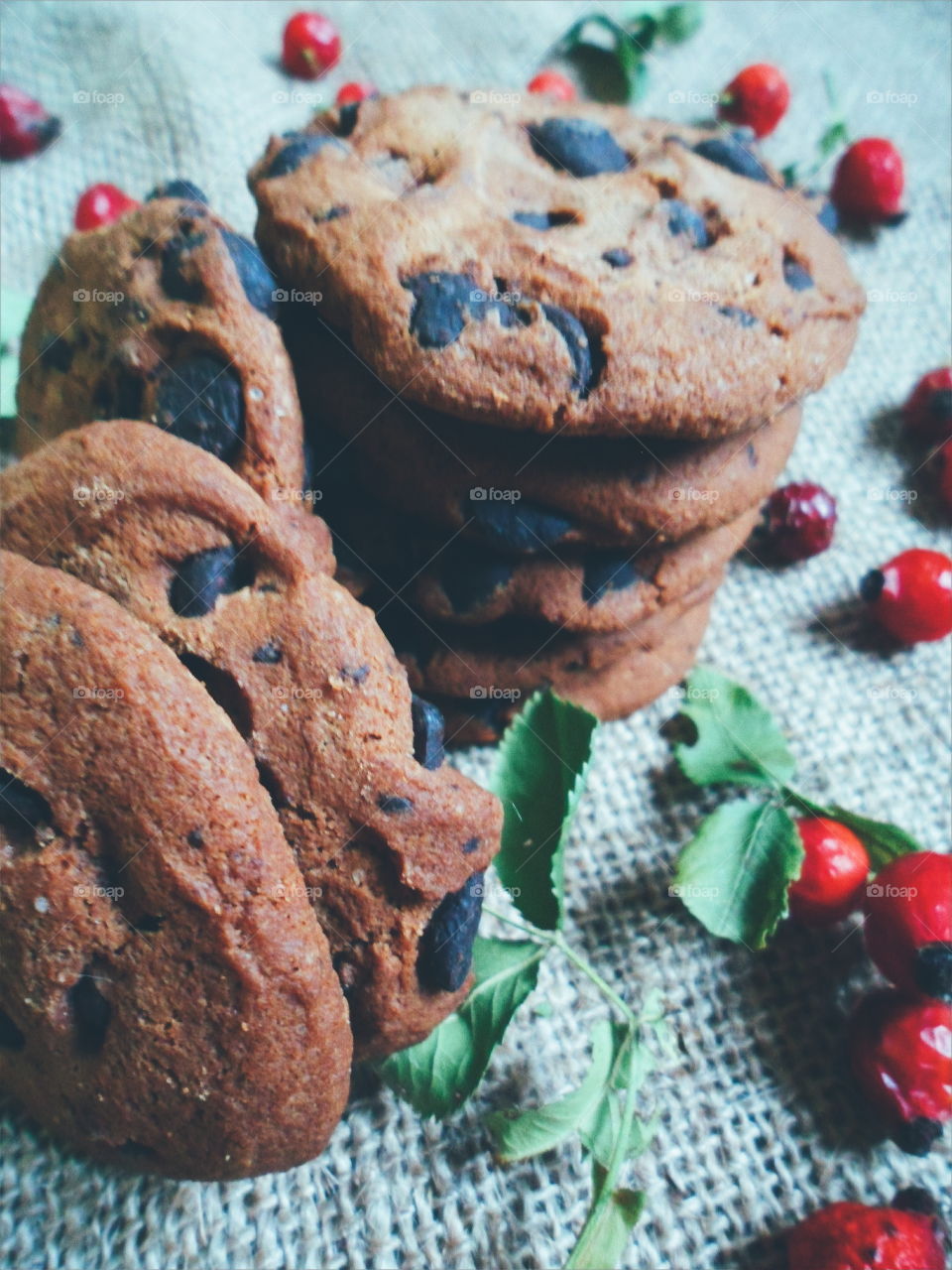 oatmeal cookies with chunks of chocolate and rose hips, dessert