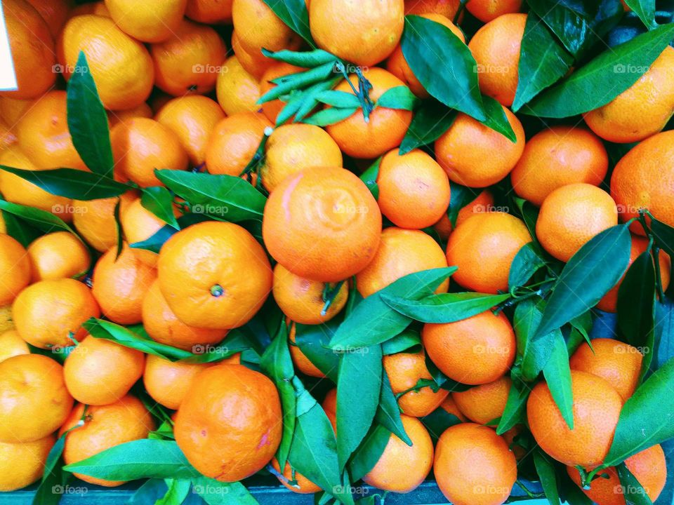 tangerines on a counter