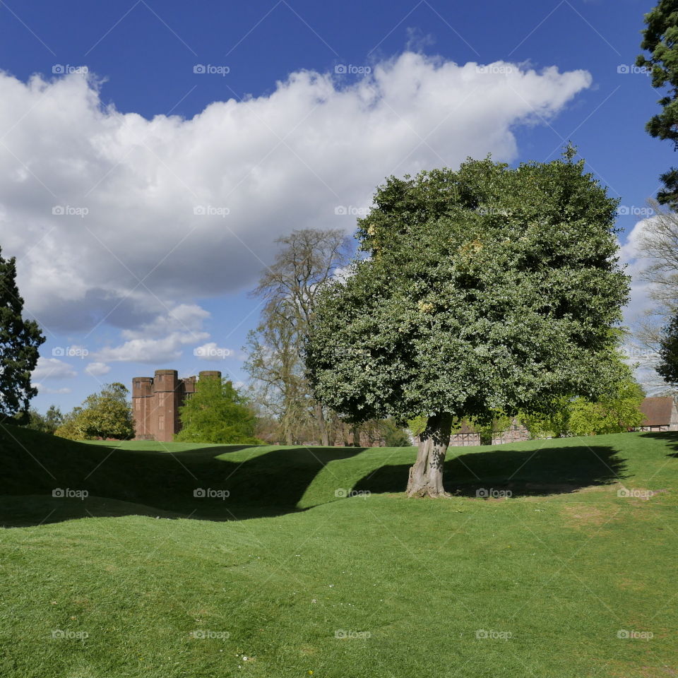 Castle. Ruins