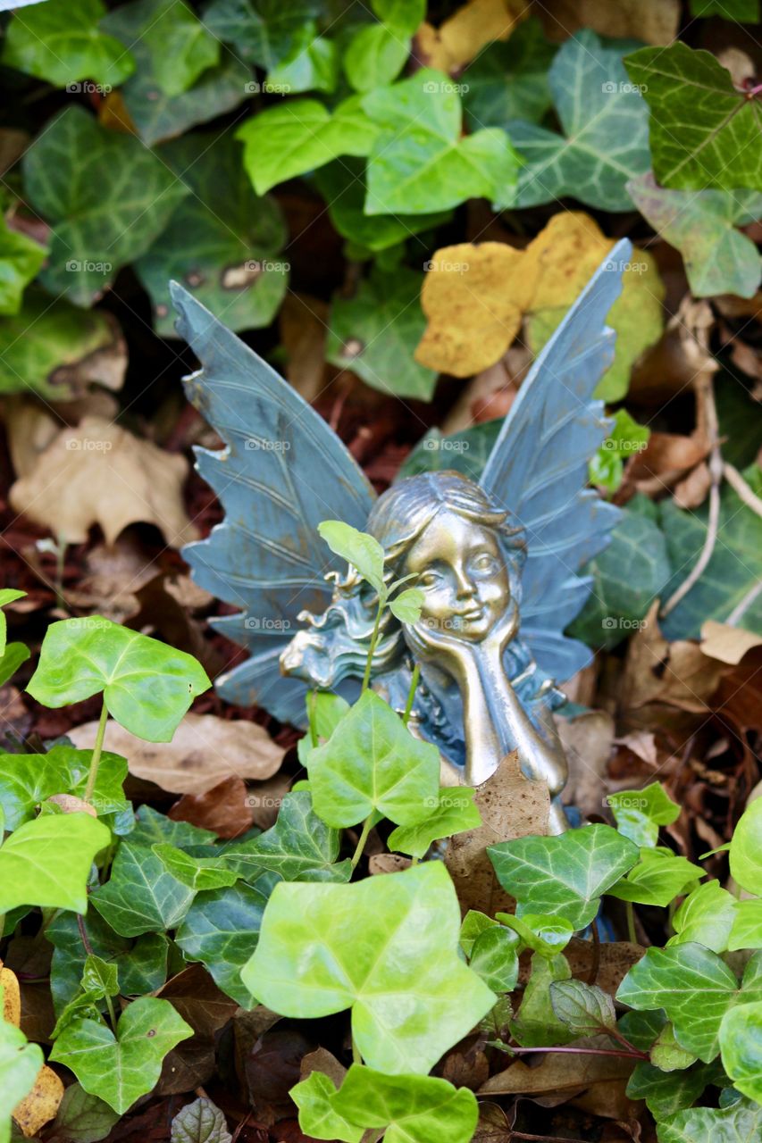 Fairy in the Ivy