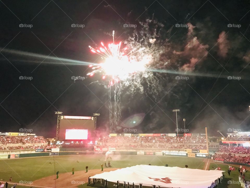 Venados de Mazatlán 