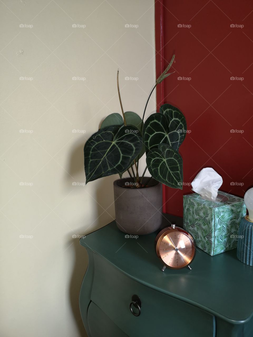 Heart shape plant leafs