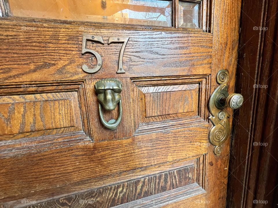 Lincoln Park Brownstone Door 57 Cedar