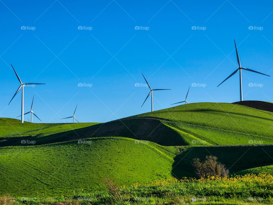 Emerald green rolling hills topped with energy producing wind turbines are found in the San Francisco Bay Area