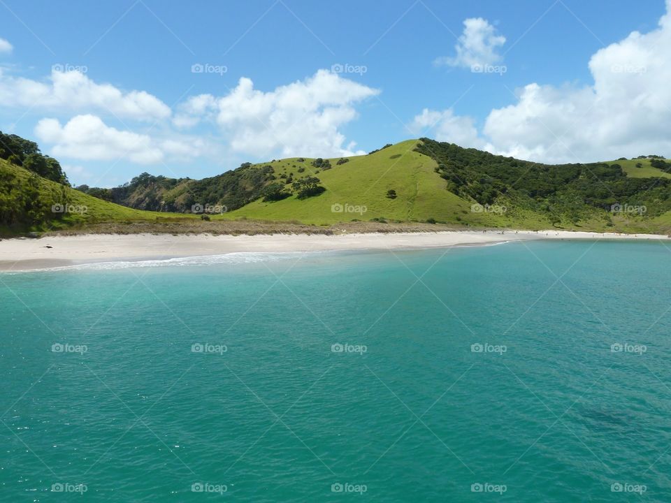 Dream beach in New Zealand 