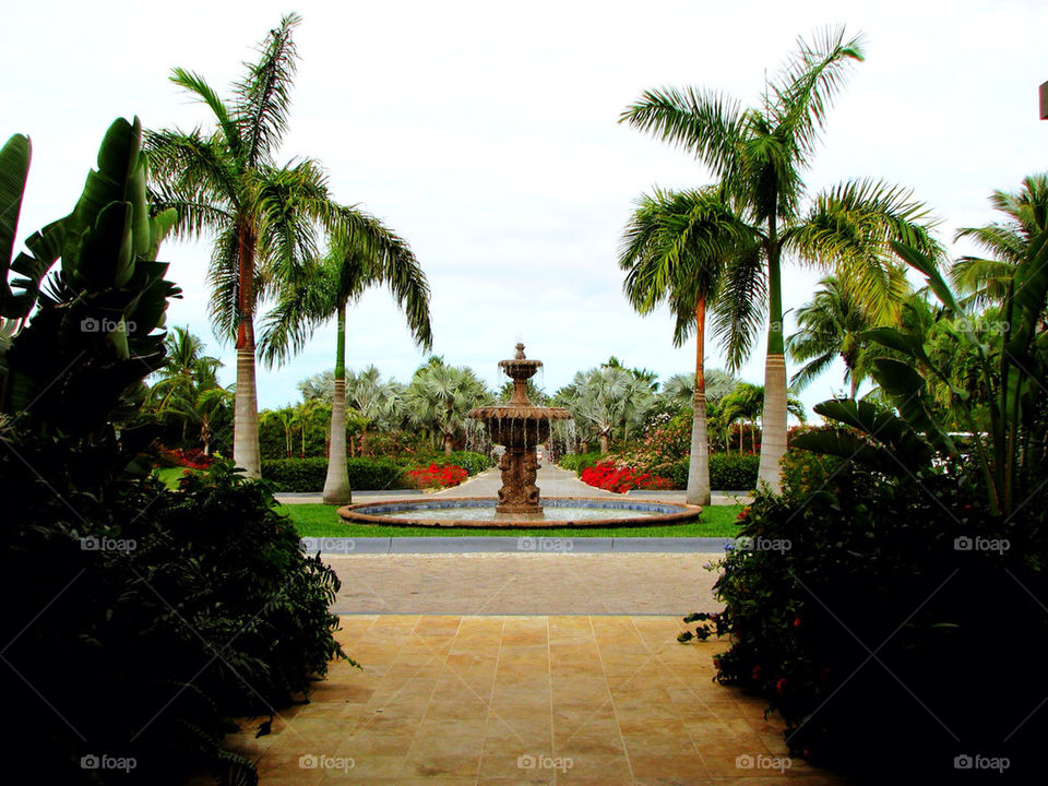 PALMS AND FOUNTAIN