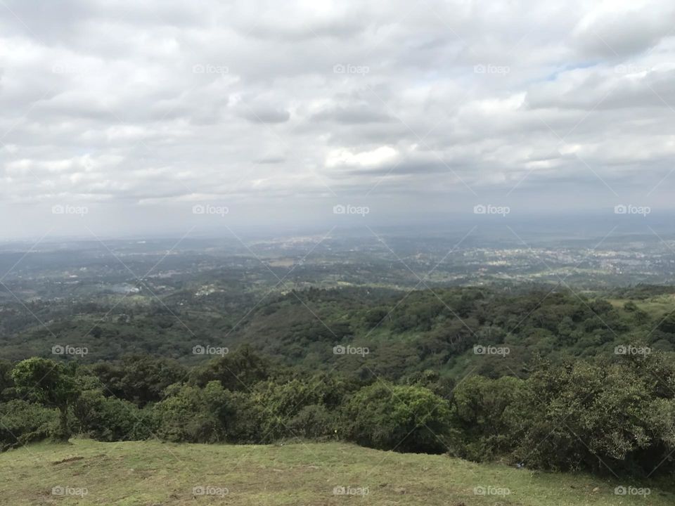 environment landscape Cloud sky Plant hill scenics - nature Tree Nature beauty in Nature forest plain Land no people Tranquility rural area day plateau ridge outdoors in Ngong, Kenya