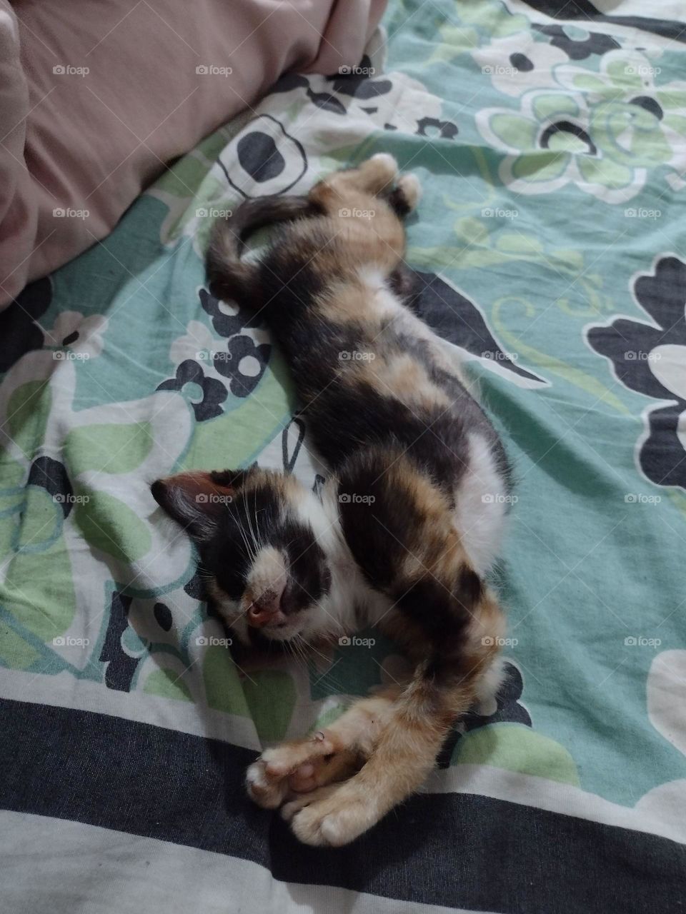 Dormir é muito bom 😃