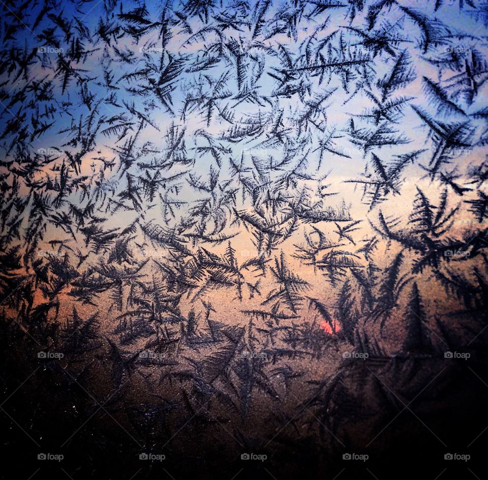 It's a beautiful world... 