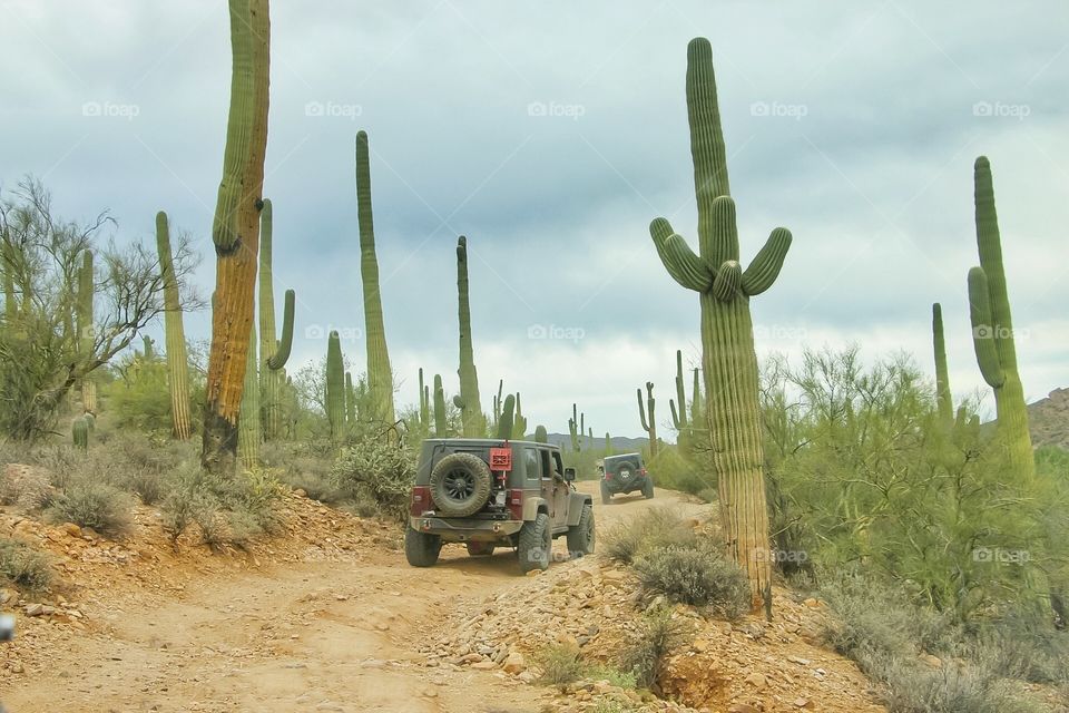 Box Canyon Trail - Florence, AZ