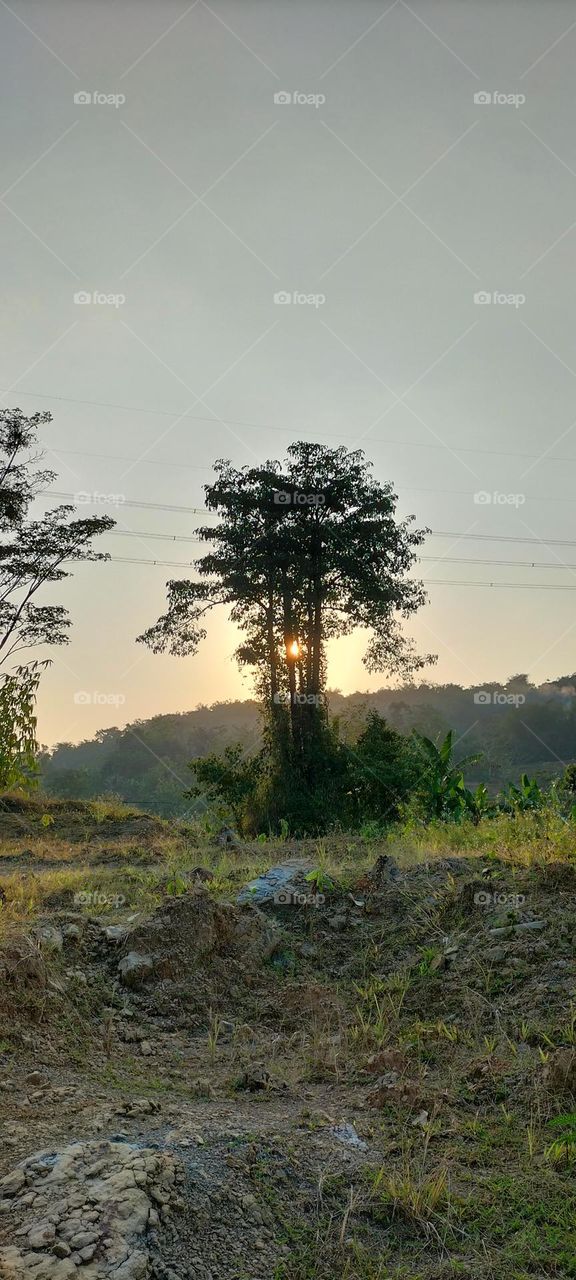 sunset photos obscured by trees