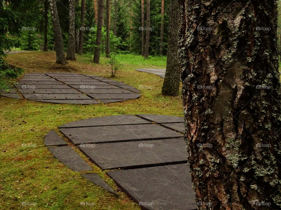 the graves of killed polish soldiers in Katyn forest, Russia