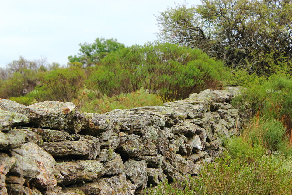 stone fence