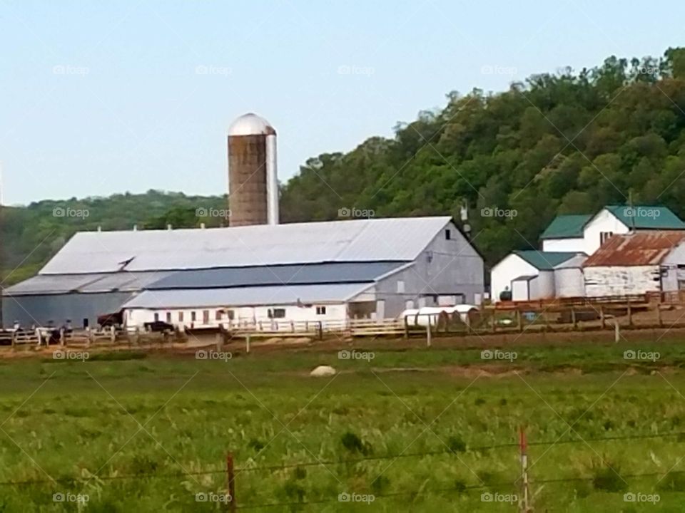 Driving the Back Roads and enjoying everything around us