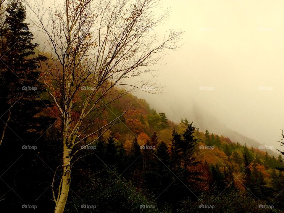 Grafton Notch State Park, ME