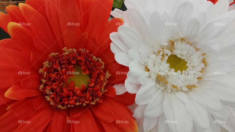 artificial colorful flower